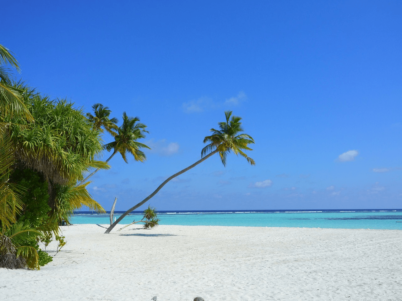 dhangethi